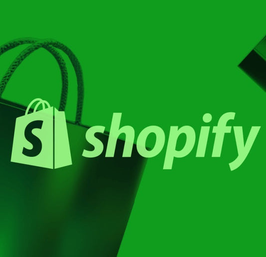 Special Shopify Training Program