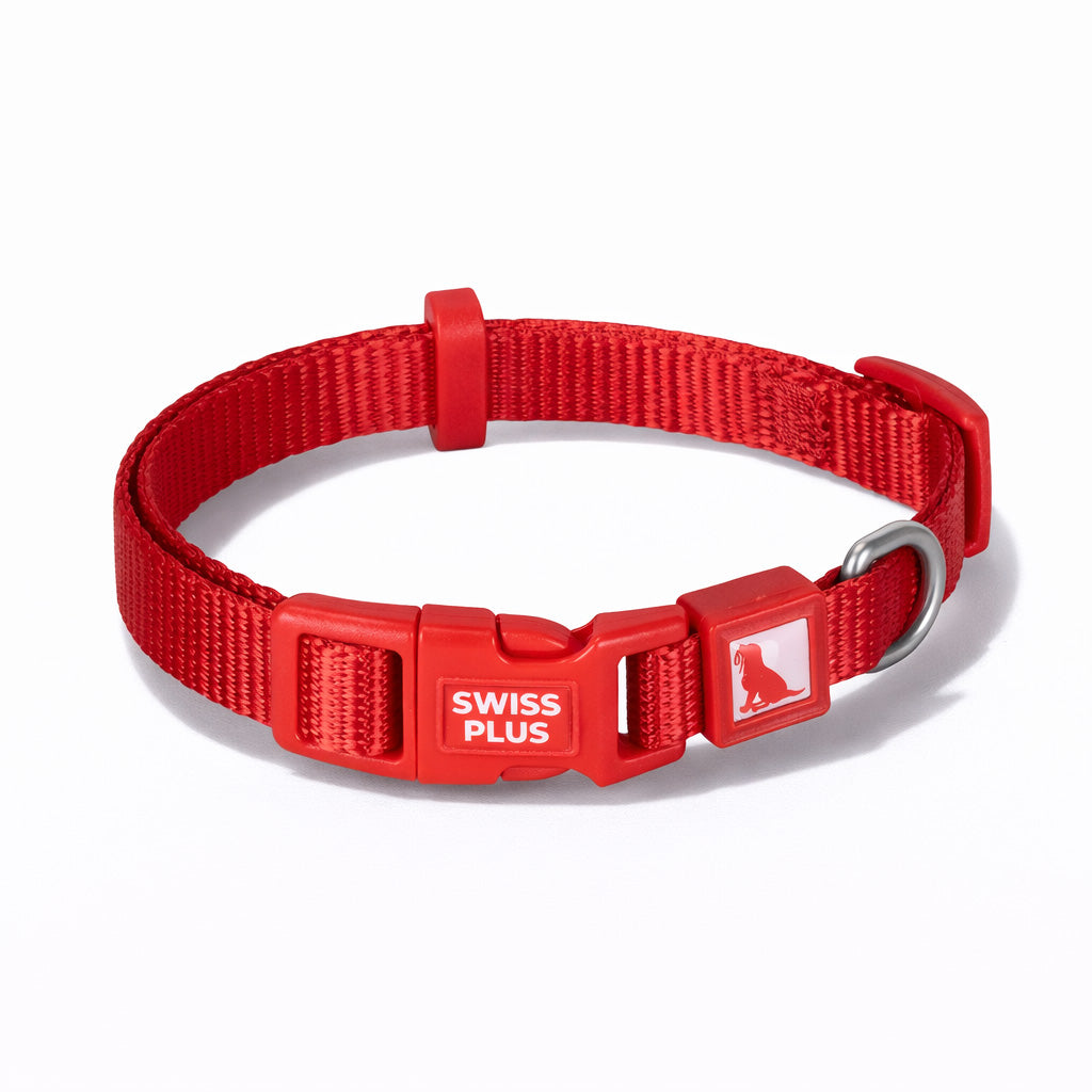Solid Color Dog & Cat Collar