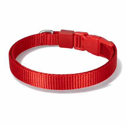 Solid Color Dog & Cat Collar