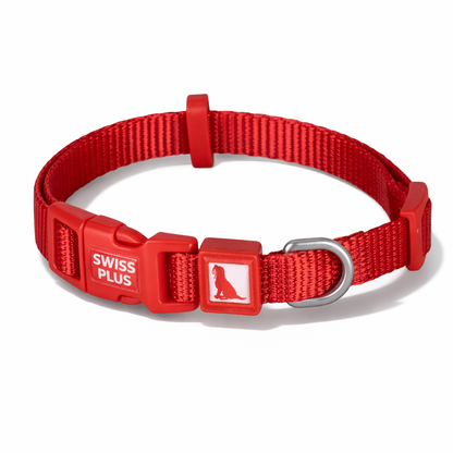 Solid Color Dog & Cat Collar