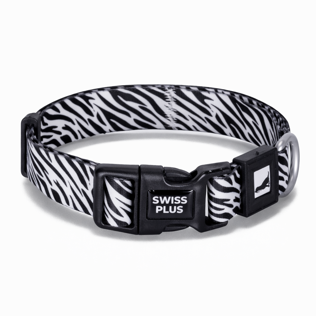 Patterned Recycled Dog & Cat Collar