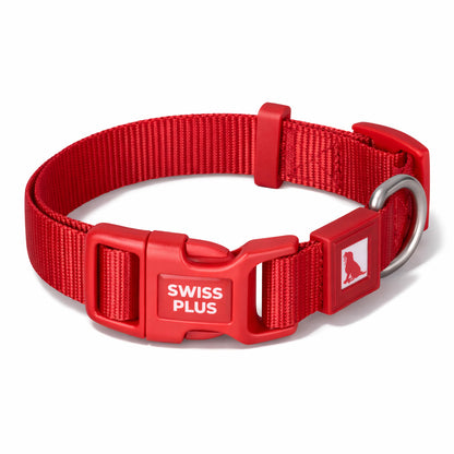 Solid Color Dog & Cat Collar