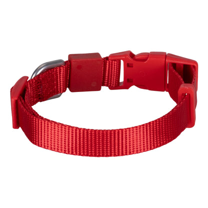 Solid Color Dog & Cat Collar