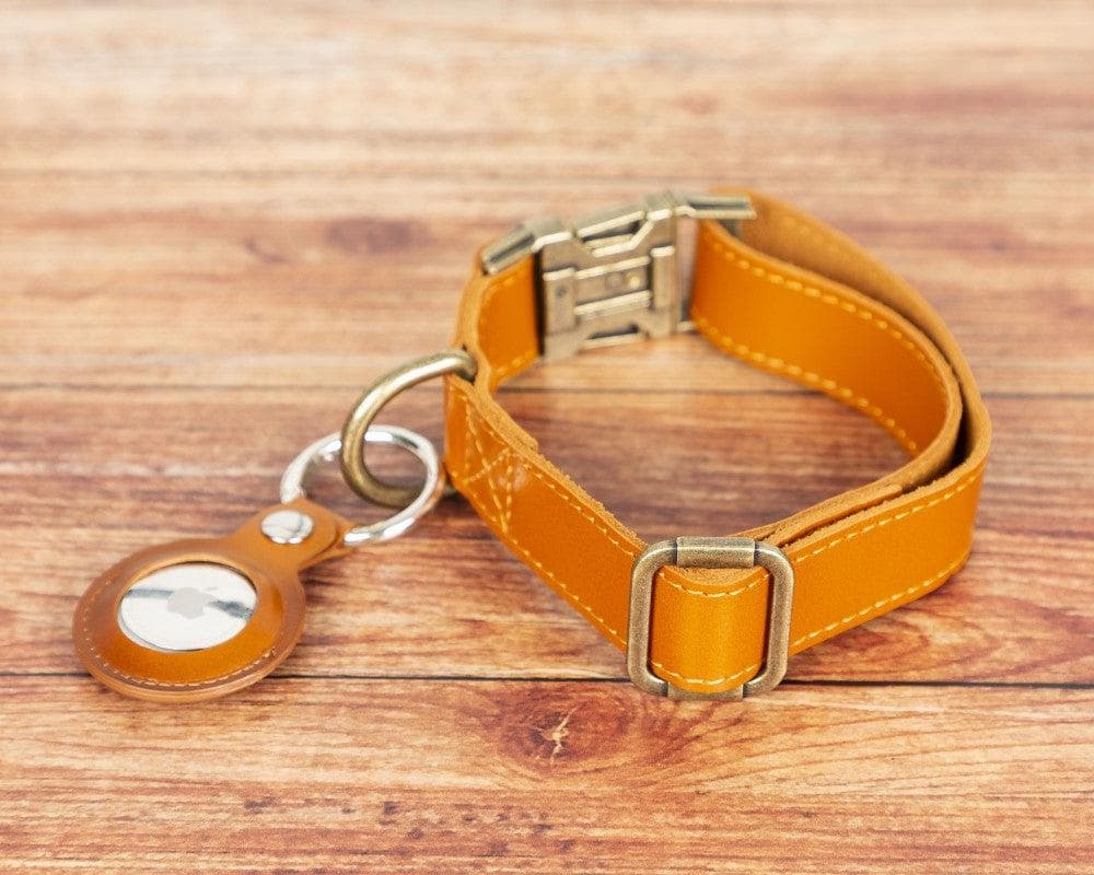 Scobby Leather Dog Collar Bouletta