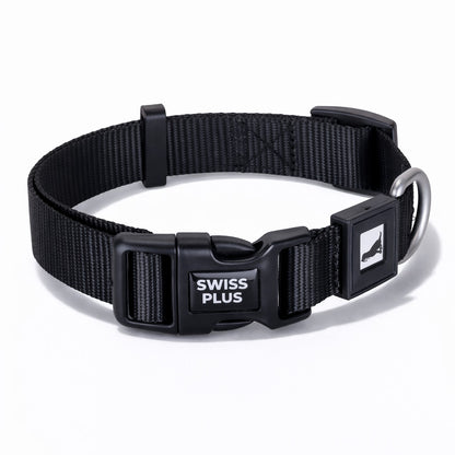 Solid Color Dog & Cat Collar