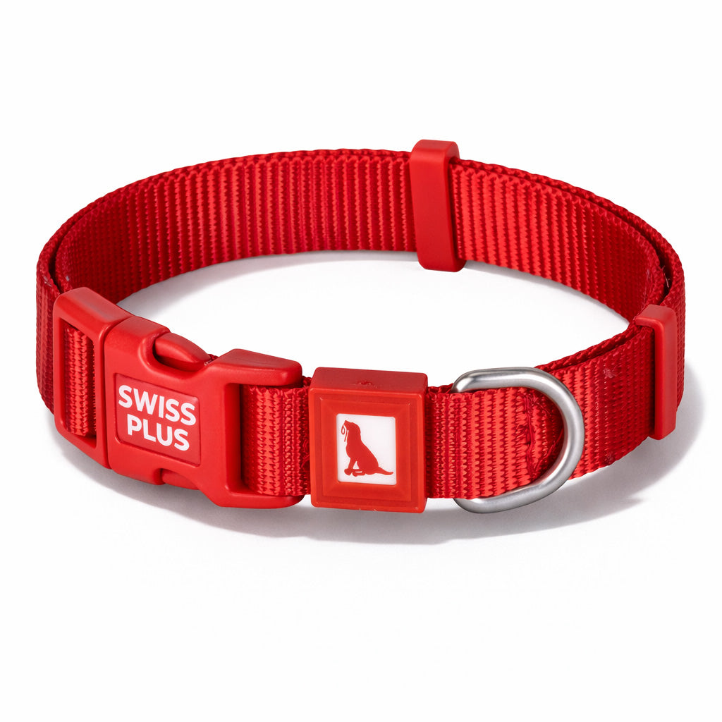 Solid Color Dog & Cat Collar