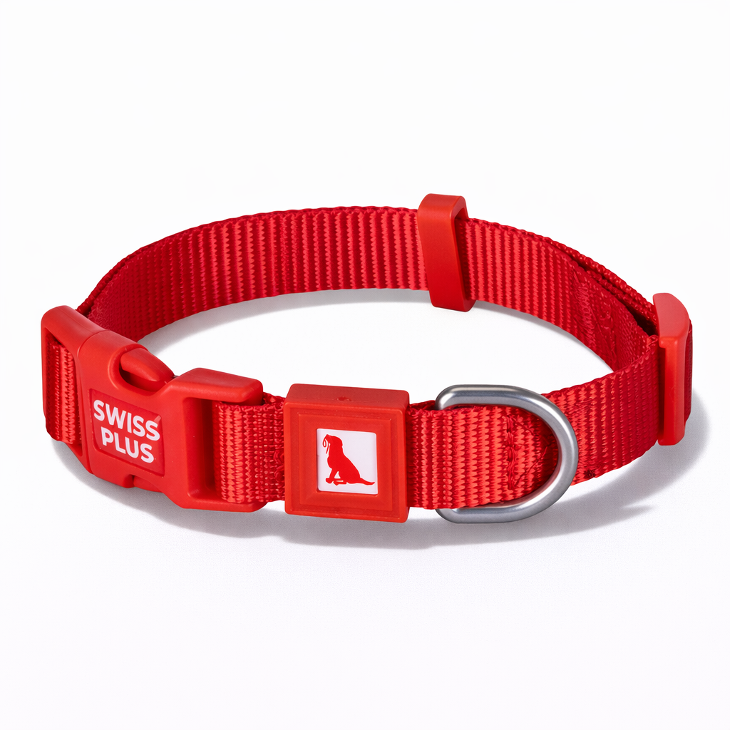 Solid Color Dog & Cat Collar