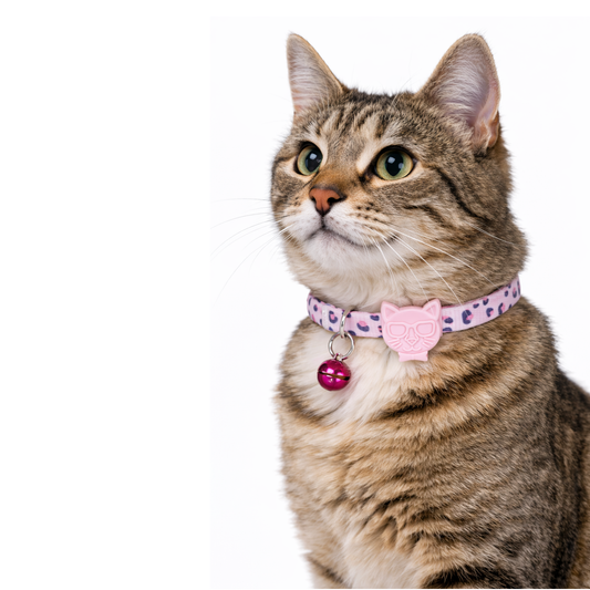 Patterned Recycled Dog & Cat Collar