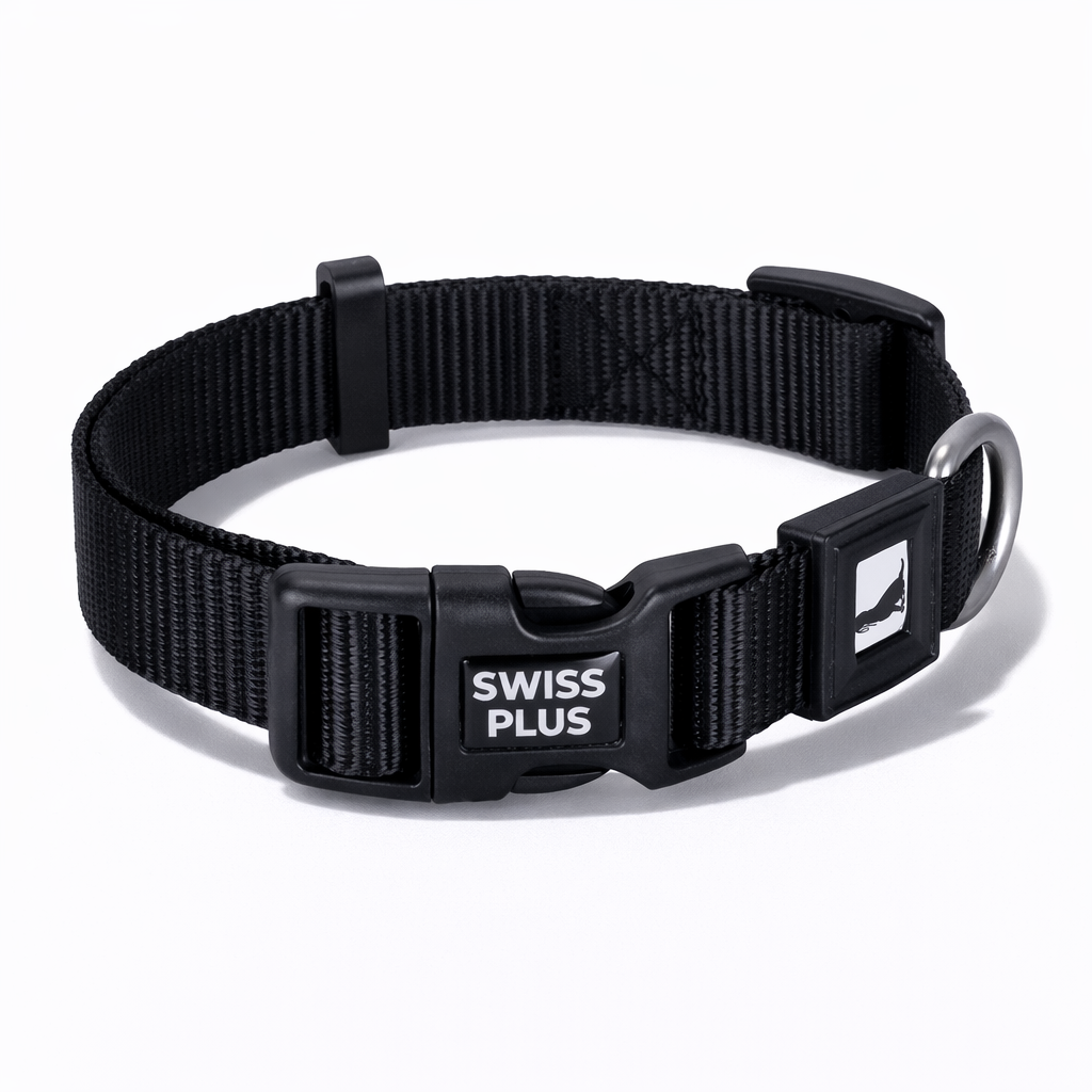 Solid Color Dog & Cat Collar